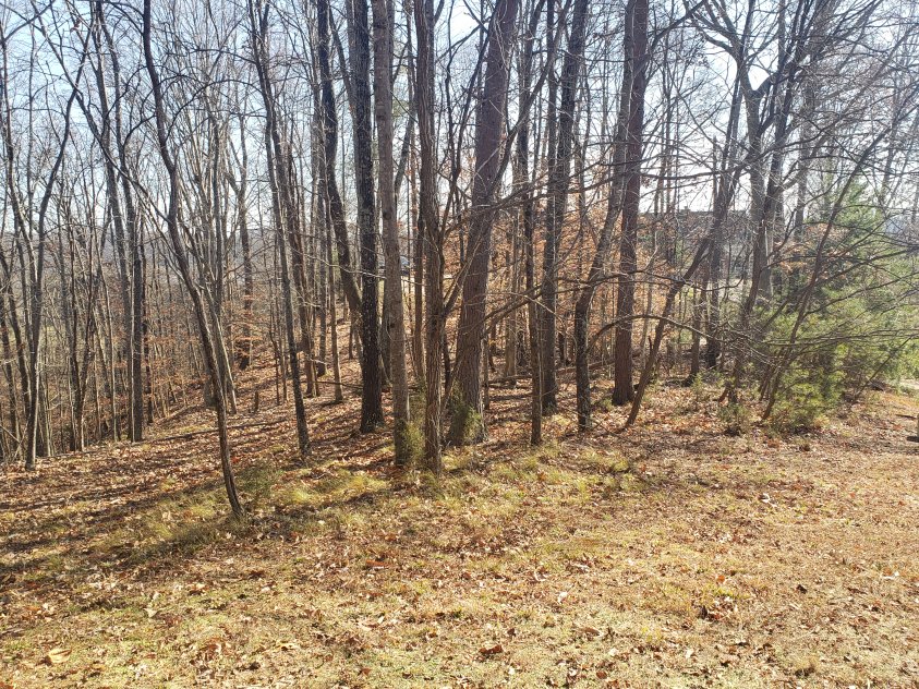 3/4 Acre Building Lot with Cherokee Lake Views