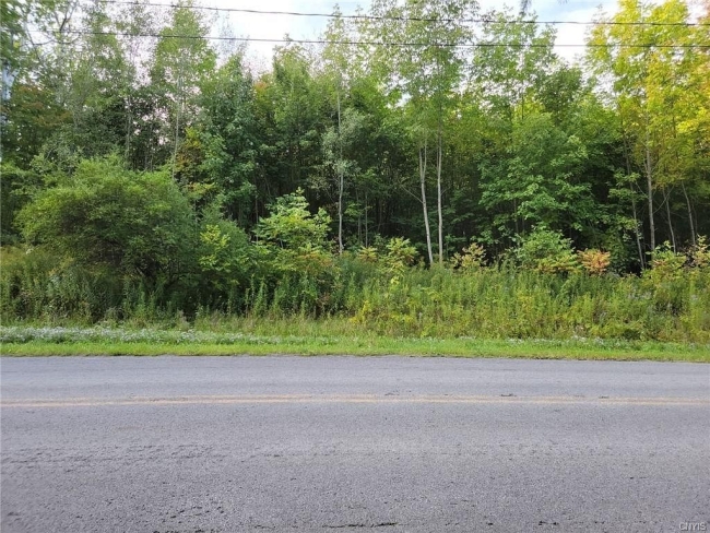 1.6 Acres of Residential Land Frankfort, New York, NY