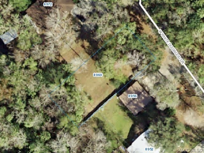 0.22 Acres of Residential Land Homosassa, Florida, FL