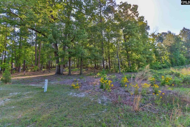 0.83 Acres of Residential Land Elgin, South Carolina, SC