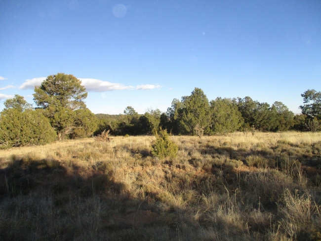 1.5 Acres of Land Edgewood, New Mexico, NM