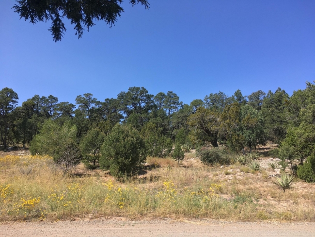 2 Acres of Residential Land Edgewood, New Mexico, NM