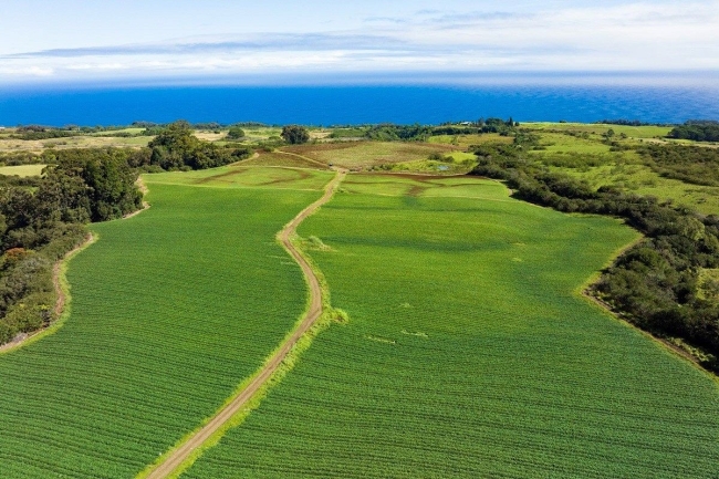 100 Acres of Land Nīnole, Hawaii, 