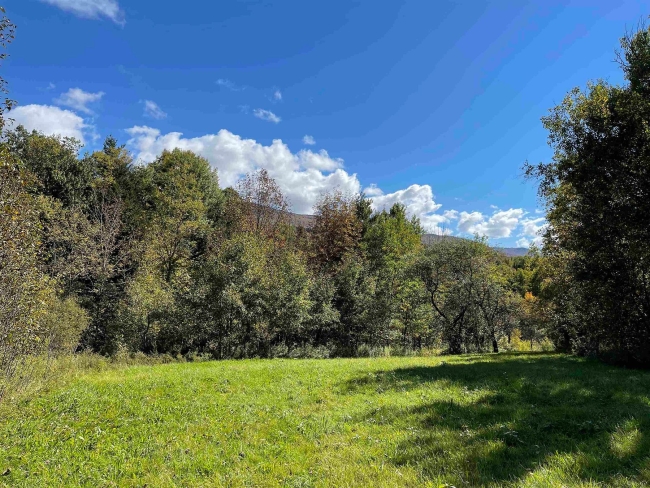 6.2 Acres of Residential Land Waitsfield, Vermont, VT
