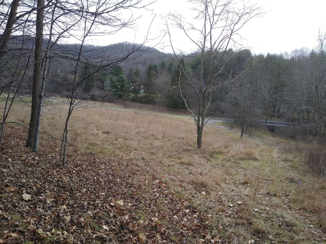 28 Acres of Land Arbovale, West Virginia, WV