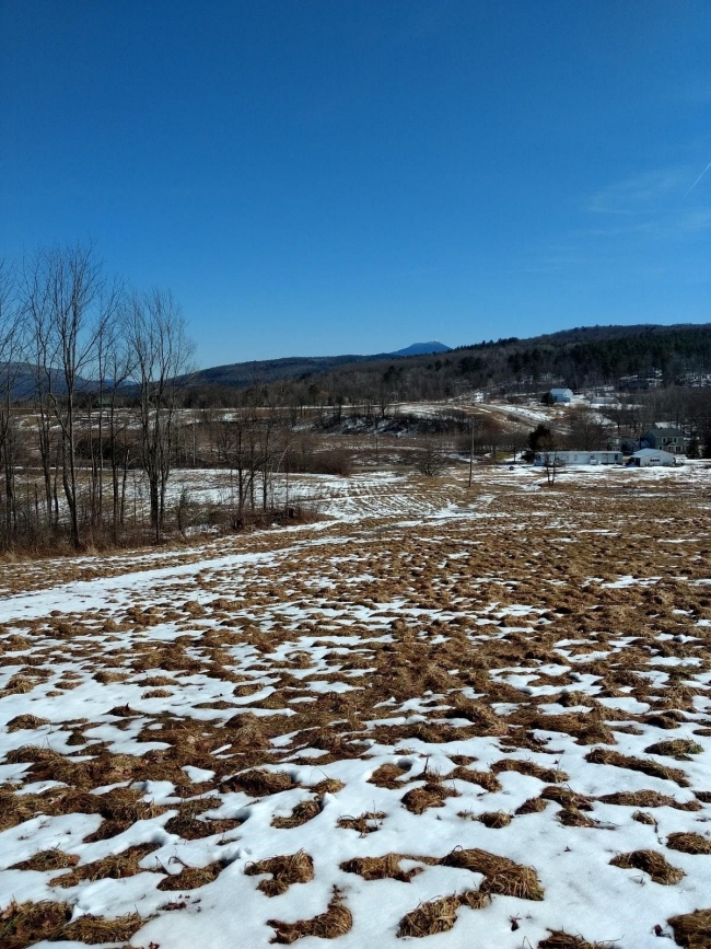 7.3 Acres of Residential Land Richmond, Vermont, VT