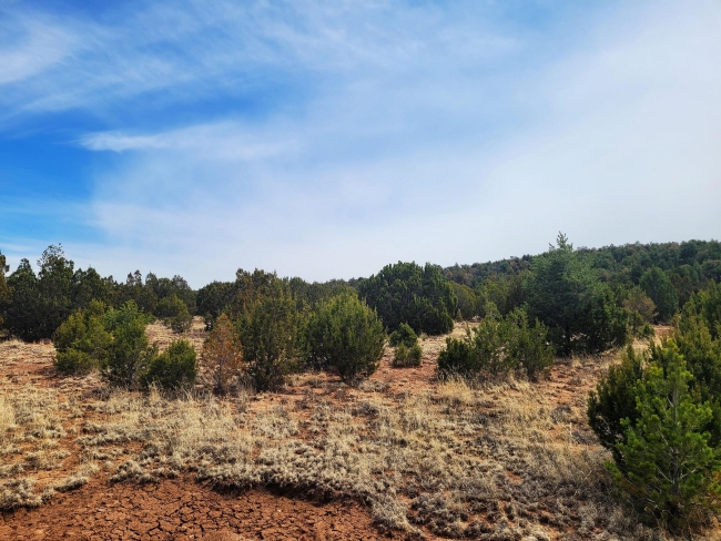 19 Acres of Land Edgewood, New Mexico, 