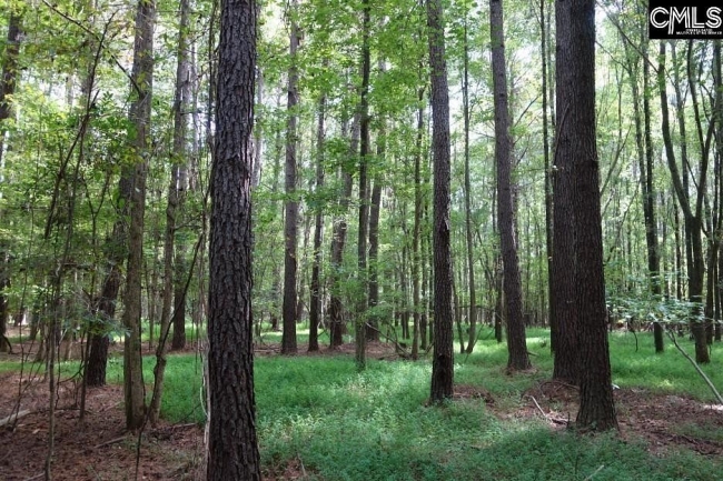 37 Acres of Agricultural Land Ridgeway, South Carolina, SC