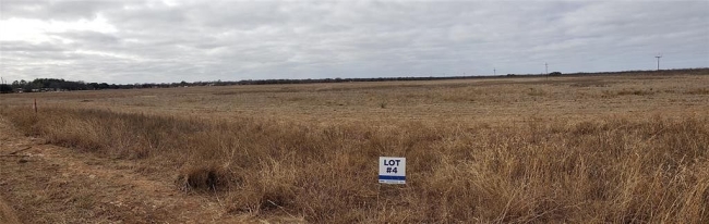 0.36 Acres of Residential Land Early, Texas, TX