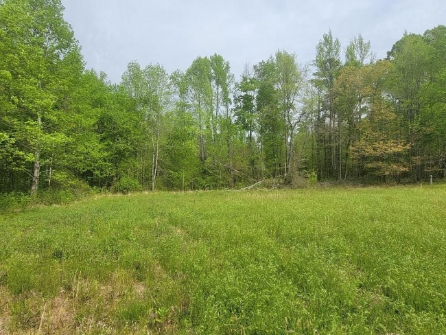 5.7 Acres of Residential Land Baxter, Tennessee, TN