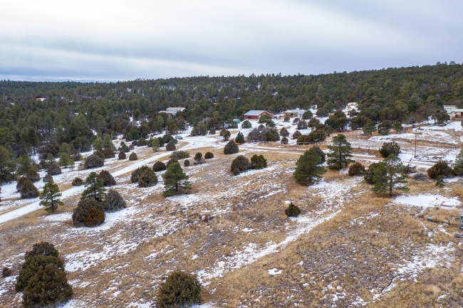 14.8 Acres of Land Tijeras, New Mexico, NM