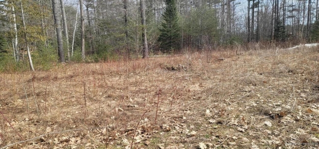 2.4 Acres of Residential Land Kenduskeag, Maine, ME