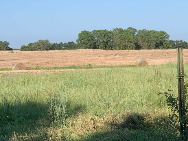 132 Acres of Recreational Land & Farm Hillsboro, Kansas, 