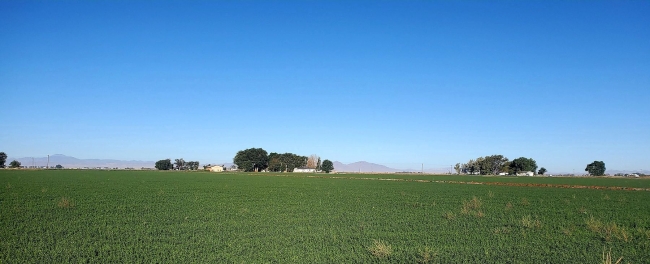 38 Acres of Agricultural Land Delta, Utah, UT