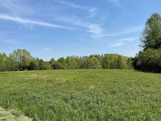 36 Acres of Land Baxter, Tennessee, TN