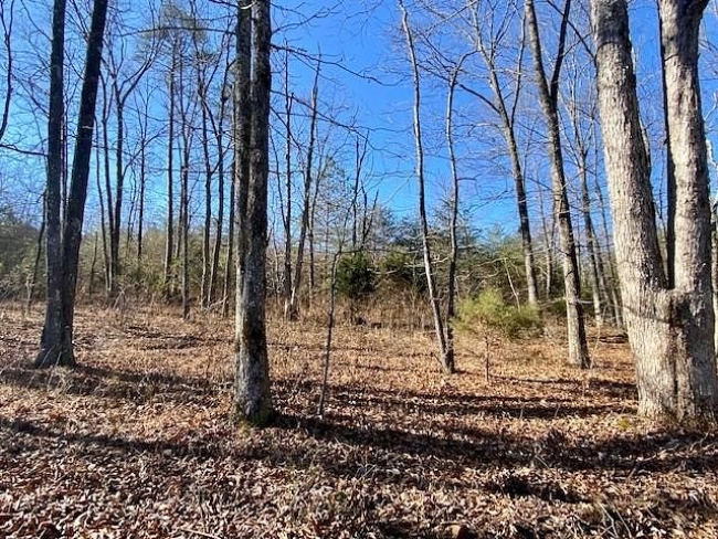 5 Acres of Residential Land Dayton, Tennessee, TN
