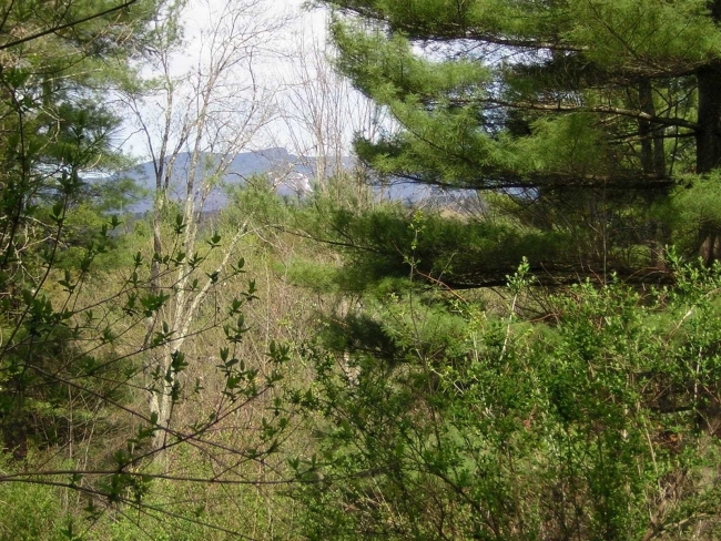 0.92 Acres of Residential Land Stowe, Vermont, VT