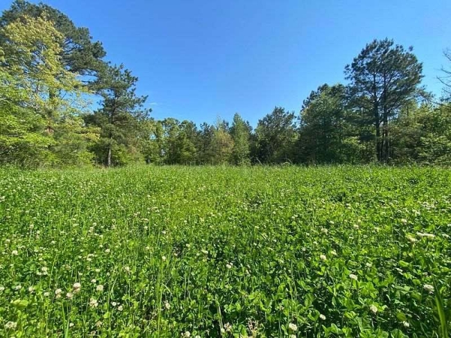 131 Acres of Recreational Land Durant, Mississippi, MS