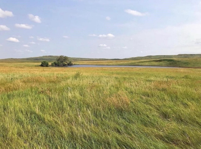 40 Acres of Agricultural Land Piedmont, South Dakota, SD