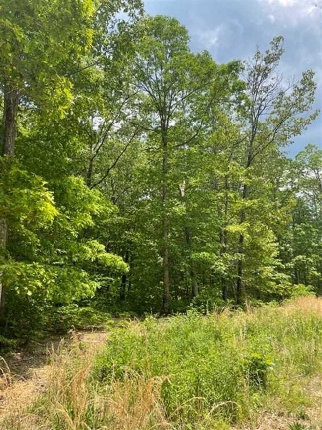 5 Acres of Residential Land Altamont, Tennessee, TN