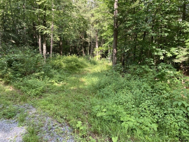 55.8 Acres of Recreational Land Middlebury, Vermont, VT