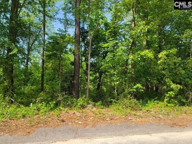 1.3 Acres of Residential Land West Columbia, South Carolina, SC