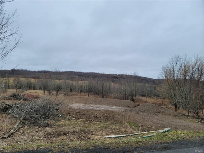 5.4 Acres of Land Litchfield Town, New York, NY