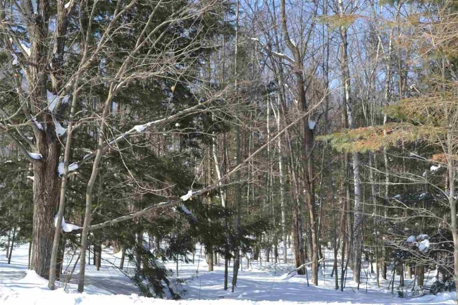 2.1 Acres of Residential Land Wausau, Wisconsin, WI