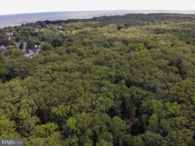 9 Acres of Mixed-Use Land Shady Side, Maryland, MD