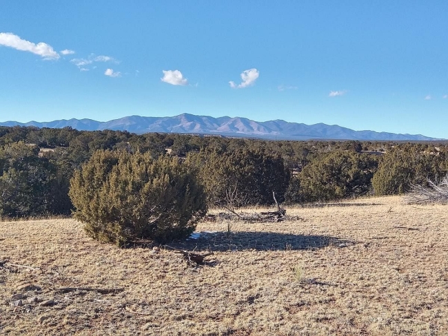302 Acres of Agricultural Land Mountainair, New Mexico, NM