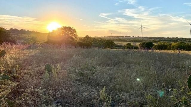 17.8 Acres of Mixed-Use Land Goldthwaite, Texas, TX