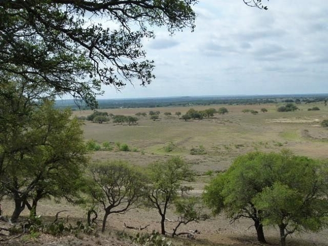 150 Acres of Land Mullin, Texas, TX