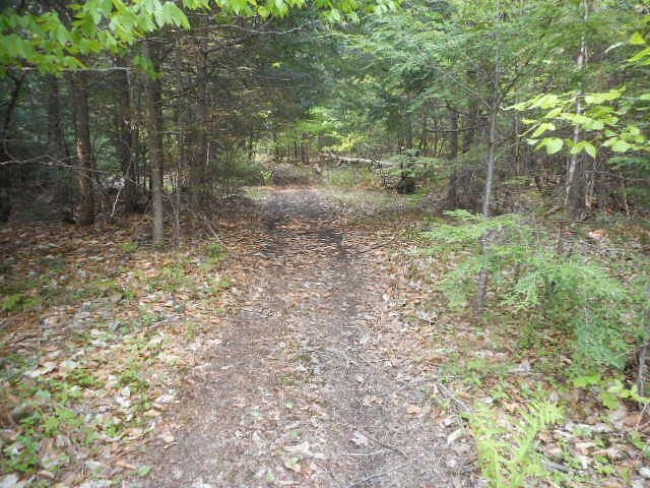 2 Acres of Residential Land Enfield, Maine, ME