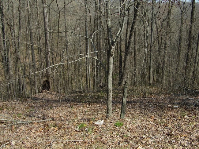 4.7 Acres of Residential Land Smithville, Tennessee, TN