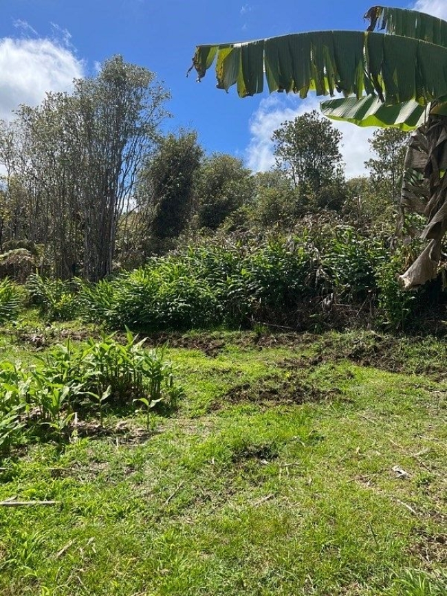 0.28 Acres of Residential Land Volcano, Hawaii, HI