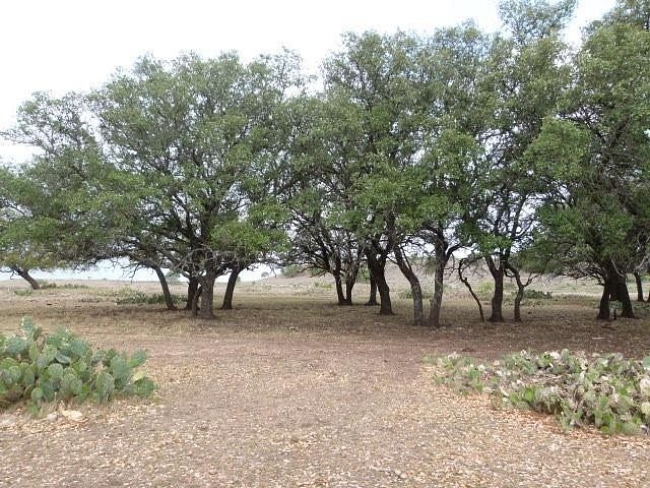 60 Acres of Land Mullin, Texas, TX