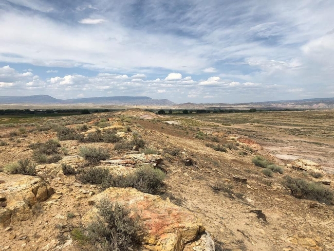 109 Acres of Recreational Land Lovell, Wyoming, WY