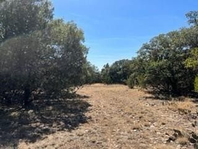 23 Acres of Land Priddy, Texas, TX