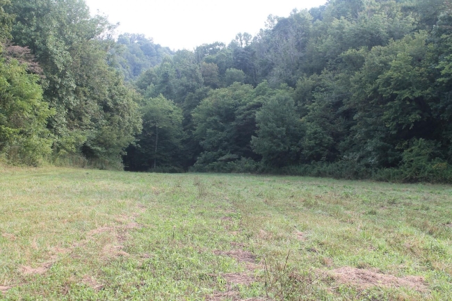 183 Acres of Recreational Land Pleasant Shade, Tennessee, TN
