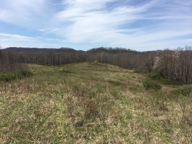 37.6 Acres of Land Smoot, West Virginia, WV