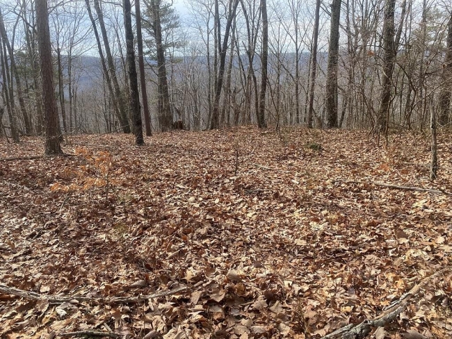 1.3 Acres of Residential Land Spencer, Tennessee, TN