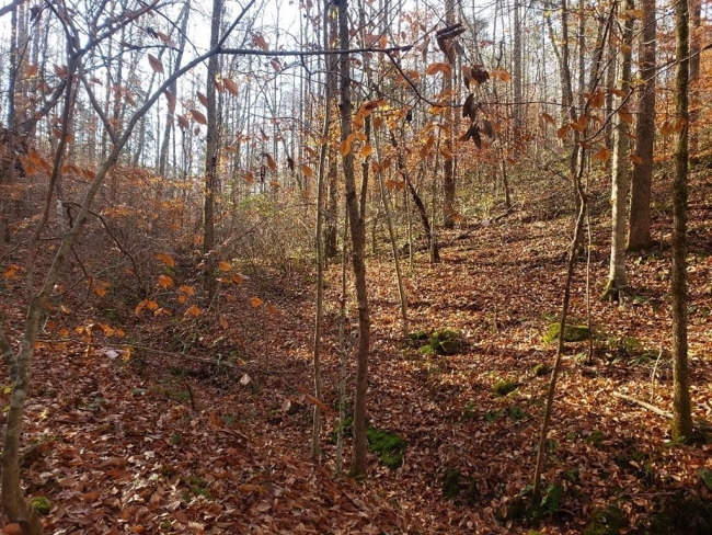 3.2 Acres of Residential Land Sparta, Tennessee, TN