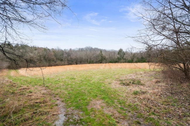 98.5 Acres of Recreational Land & Farm College Grove, Tennessee, TN