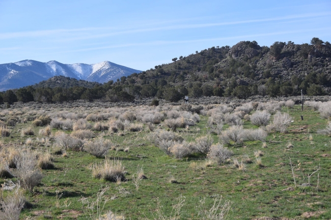 88.3 Acres of Recreational Land & Farm Kanosh, Utah, UT