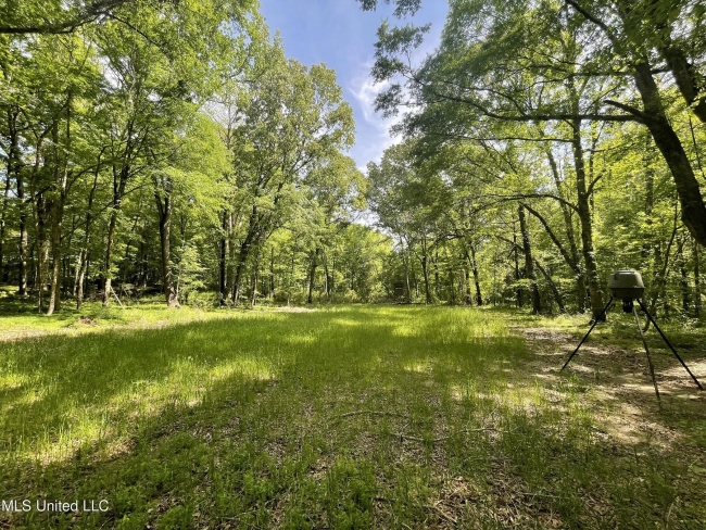 10 Acres of Mixed-Use Land Prattville, Alabama, AL