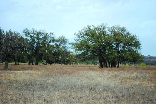 19.8 Acres of Land Goldthwaite, Texas, TX