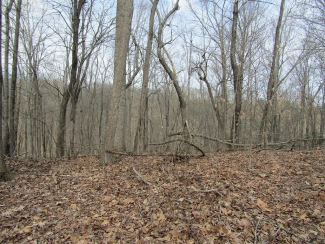 16.2 Acres of Land Smithville, Tennessee, TN