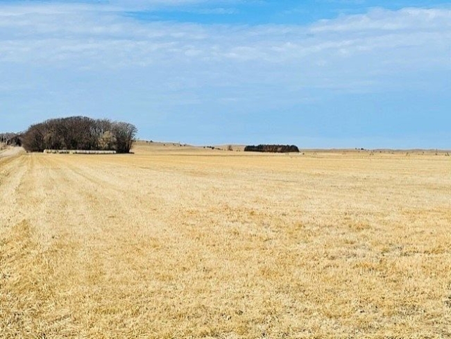 321 Acres of Agricultural Land St. Paul, Nebraska, NE