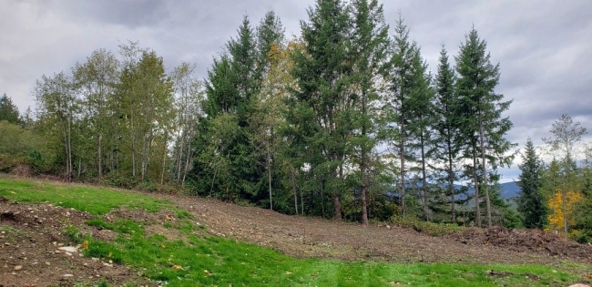2 Acres of Residential Land Maple Valley, Washington, WA