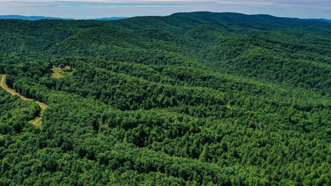 42.6 Acres of Recreational Land Marlinton, West Virginia, WV